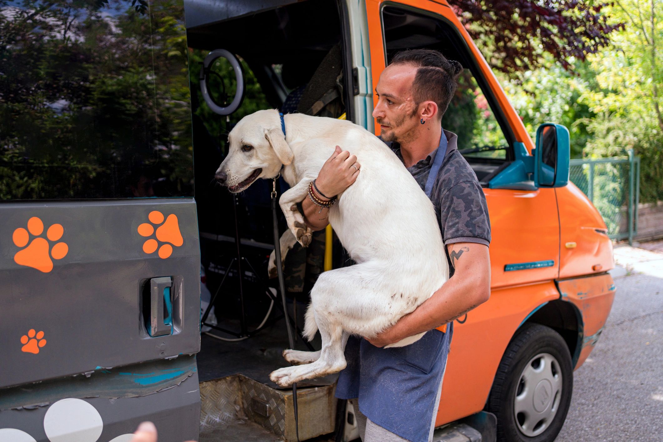 animal removal service